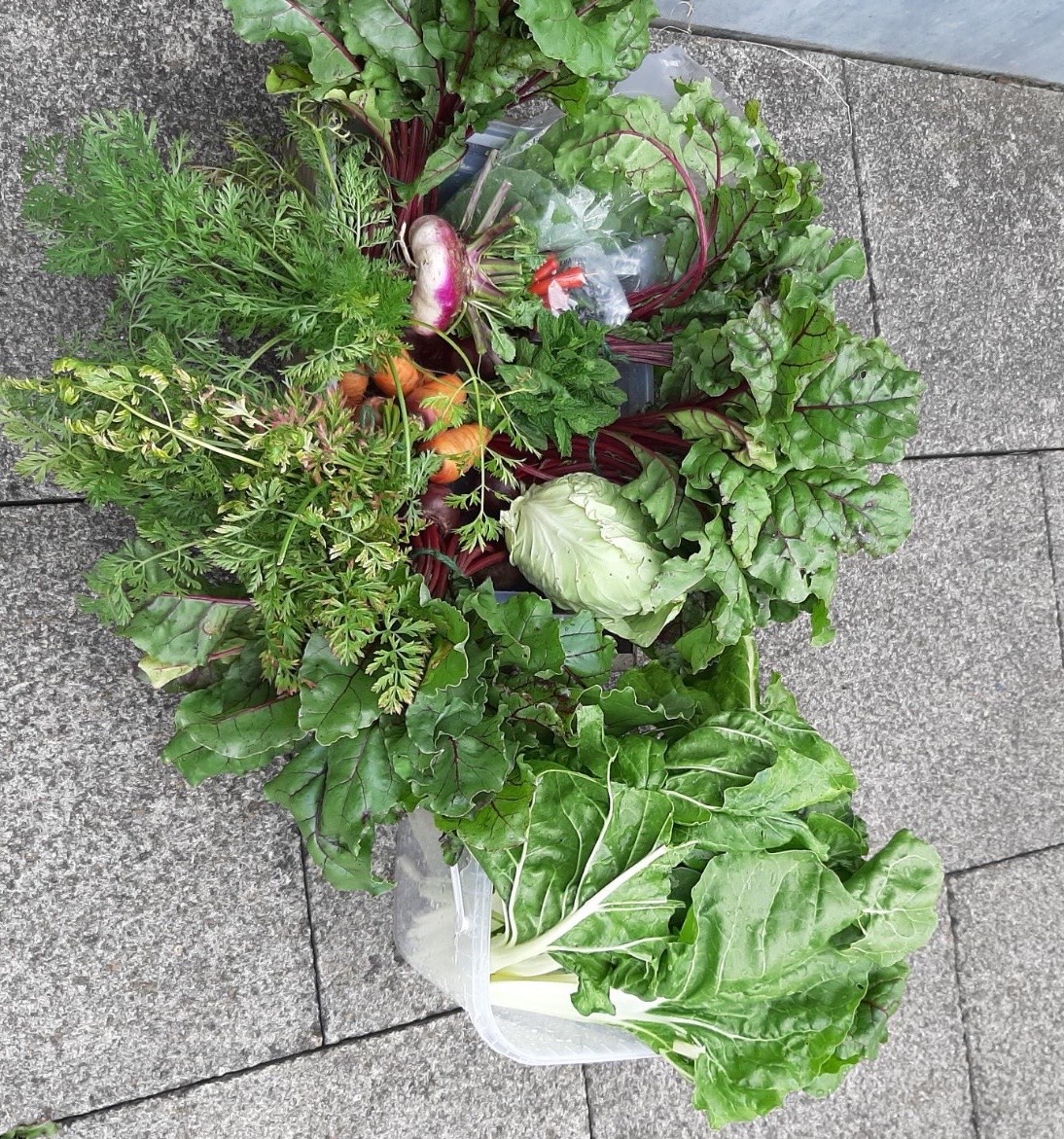 Produce from the Jubilee Garden ready to be donated to the Foodbank