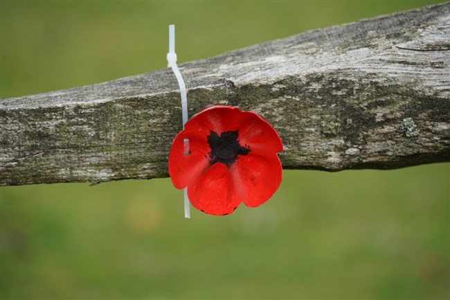 1 Remembrance 18