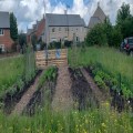 Jubilee Garden Project
